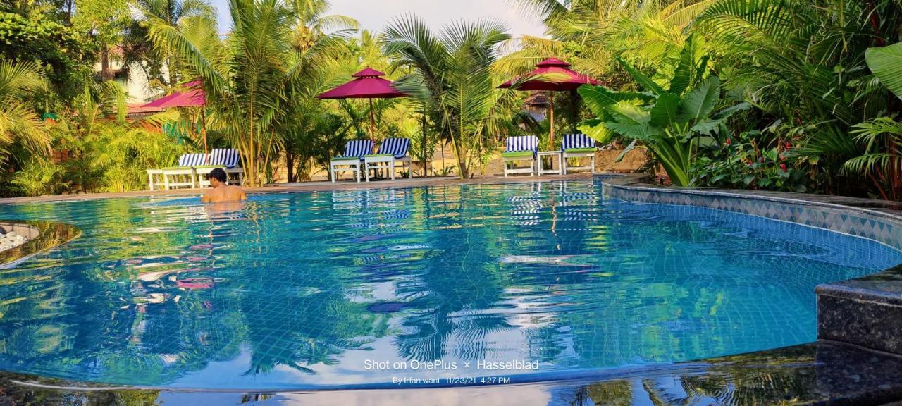 Little India Beach Cottages Baga Eksteriør billede