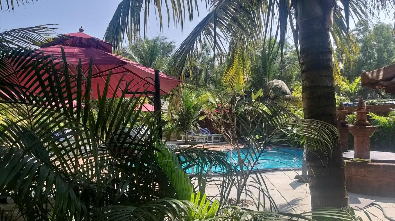 Little India Beach Cottages Baga Eksteriør billede