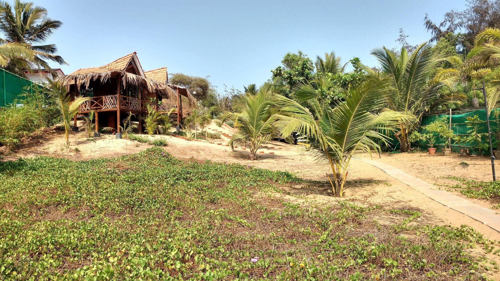 Little India Beach Cottages Baga Eksteriør billede